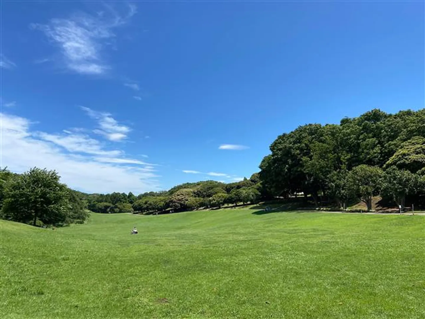 草地広場