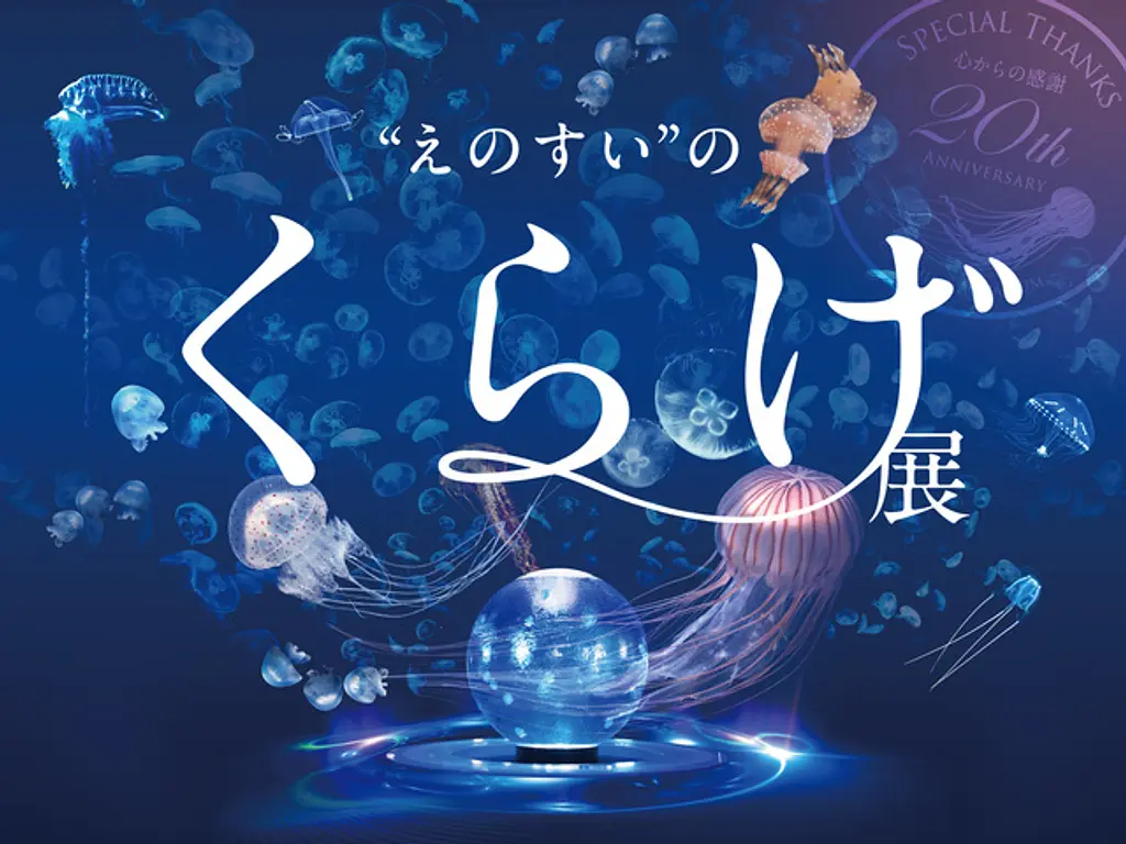 えのすい”のくらげ展 | イベント一覧 | かながわ 横浜観光なら