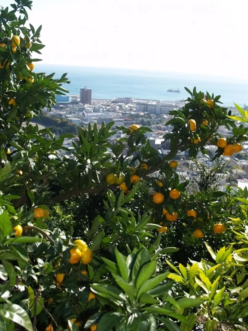 湯河原町