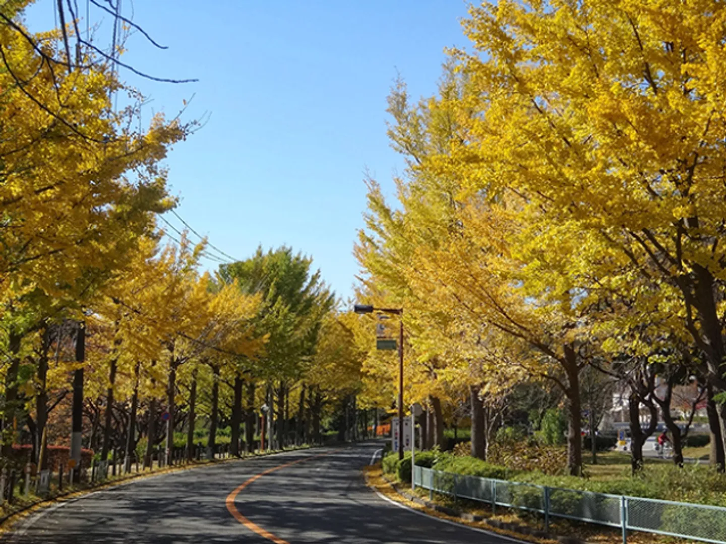 （公財）神奈川県公園協会