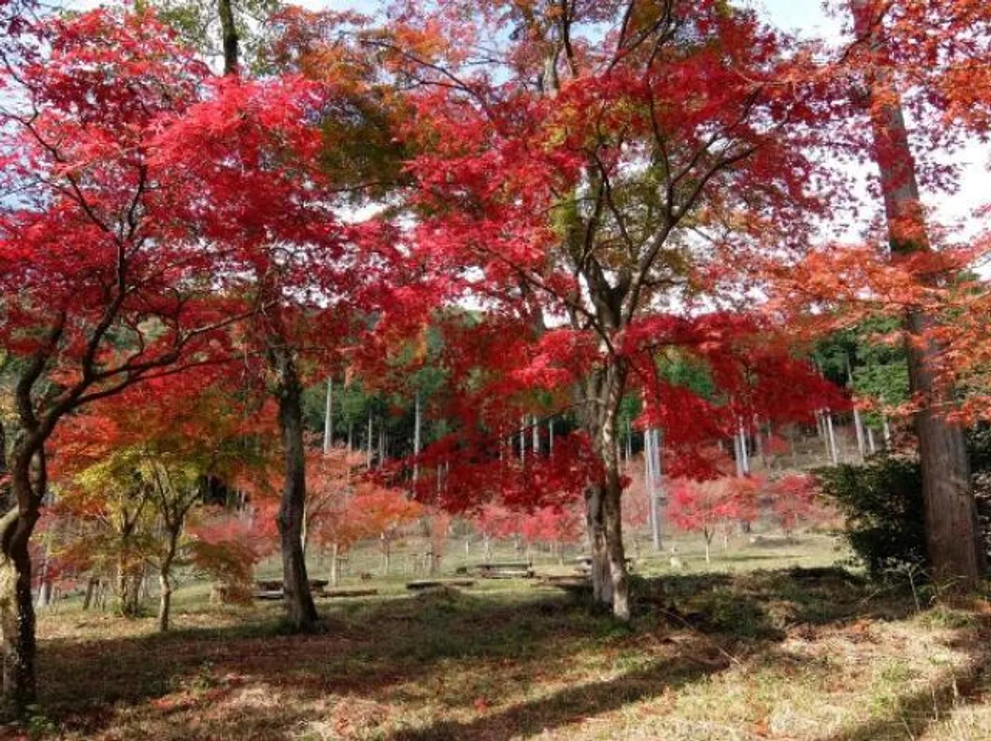 提供：湯河原町