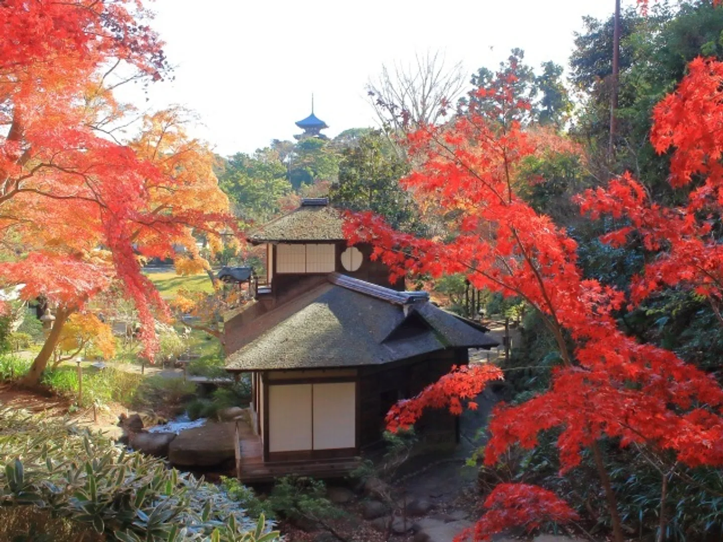 三溪園