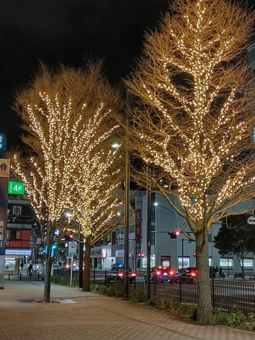 写真は過年度のもの。