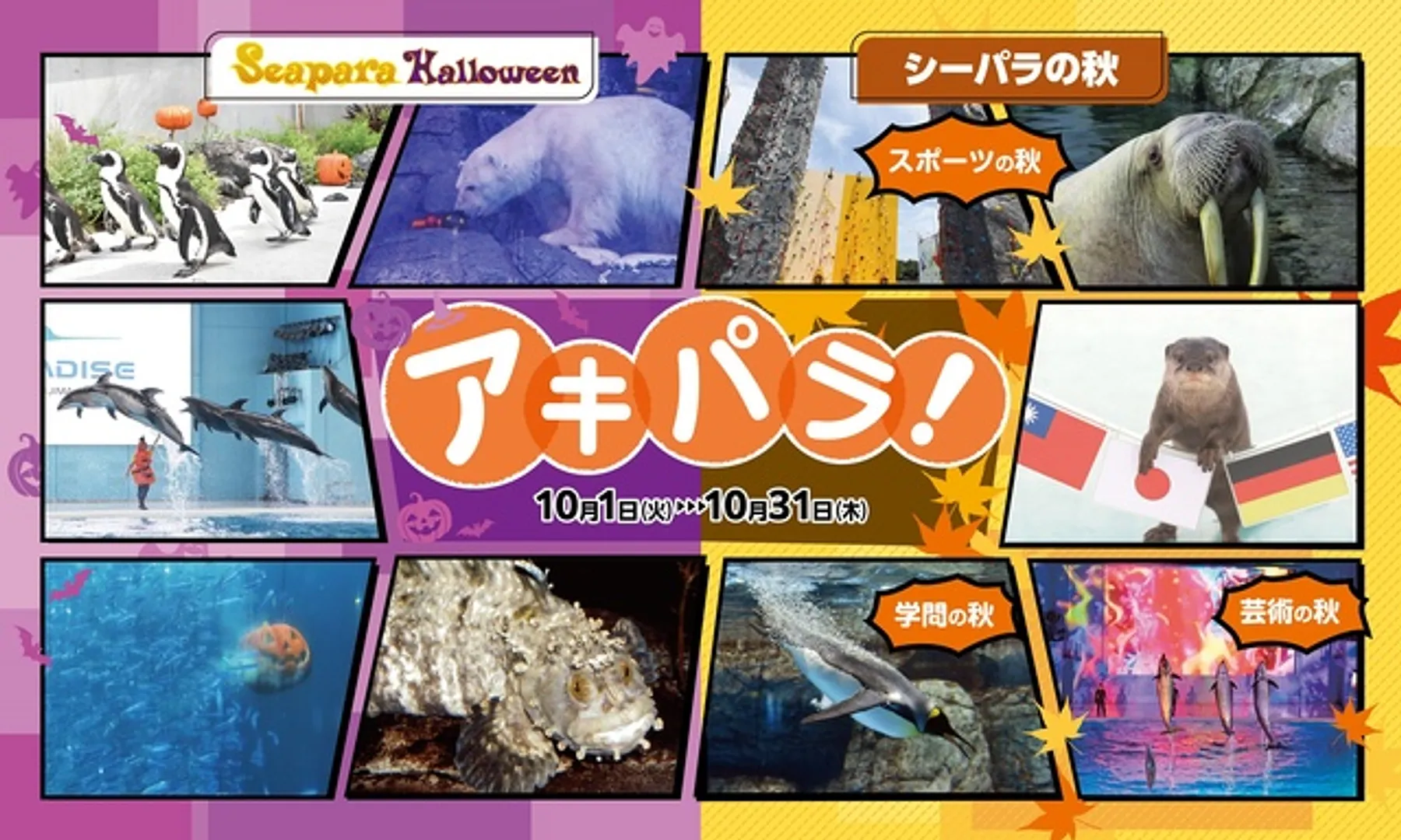 横浜・八景島シーパラダイスの秋イベント「アキパラ！」