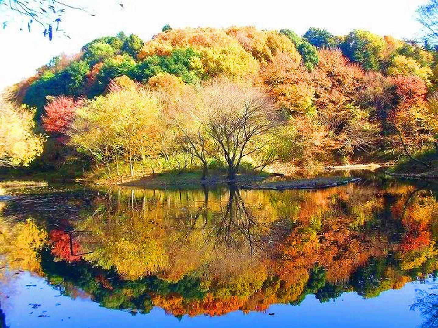 （公財）神奈川県公園協会