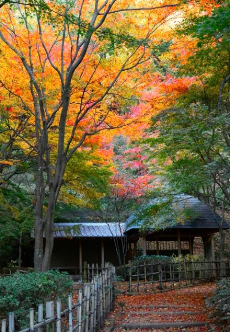（公財）神奈川県公園協会