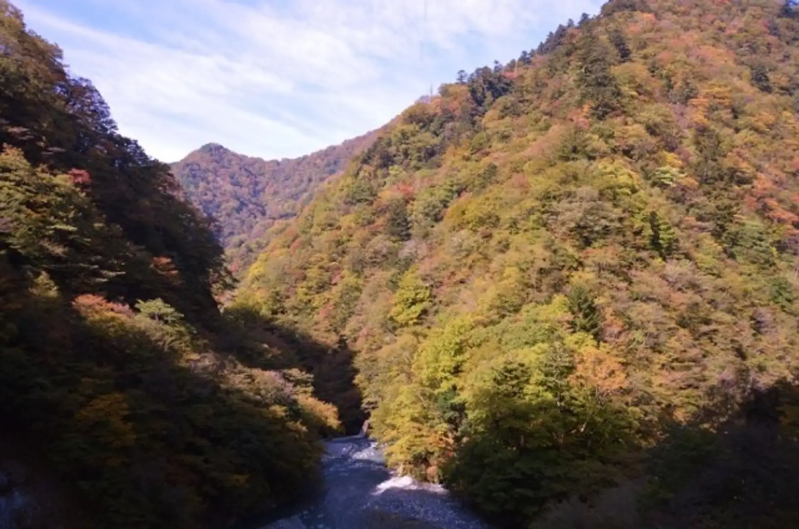 紅葉・見ごろ】丹沢大山国定公園・県立丹沢大山自然公園