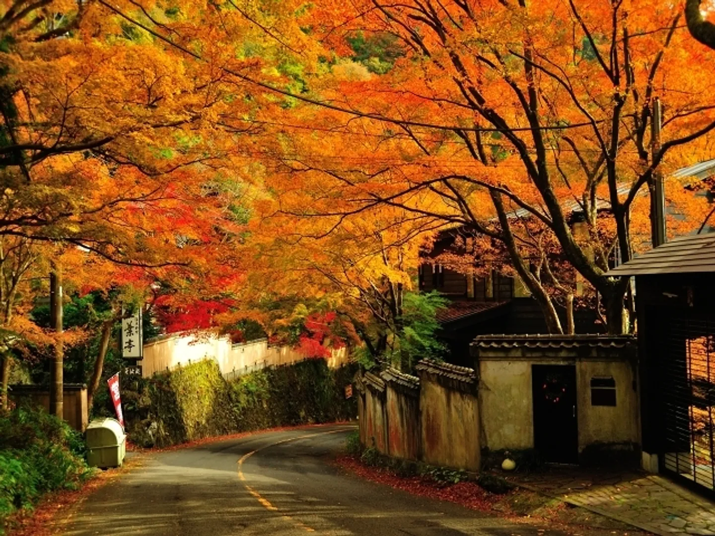 奥湯河原の紅葉スポット
