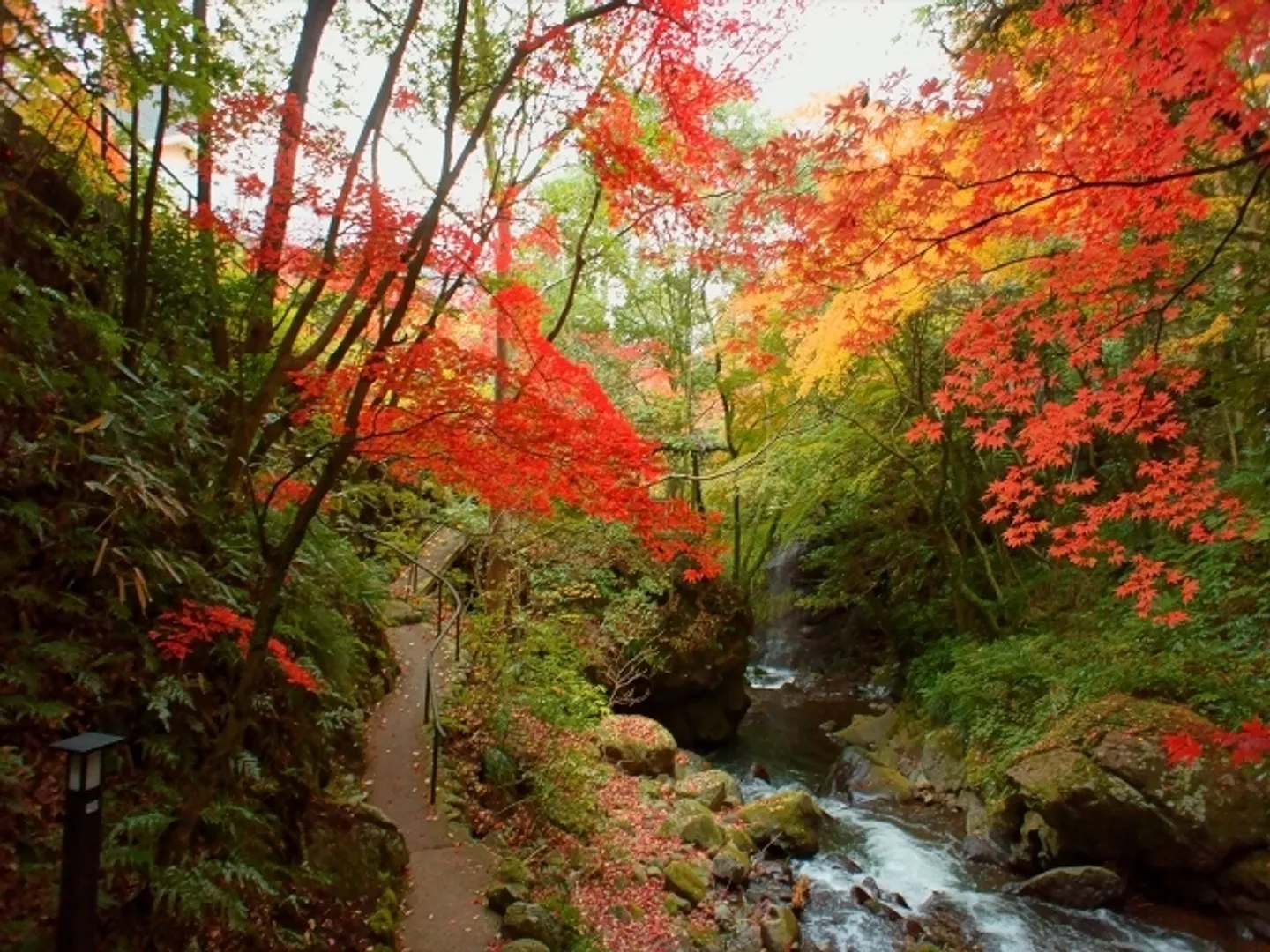 渓流散策道の紅葉
